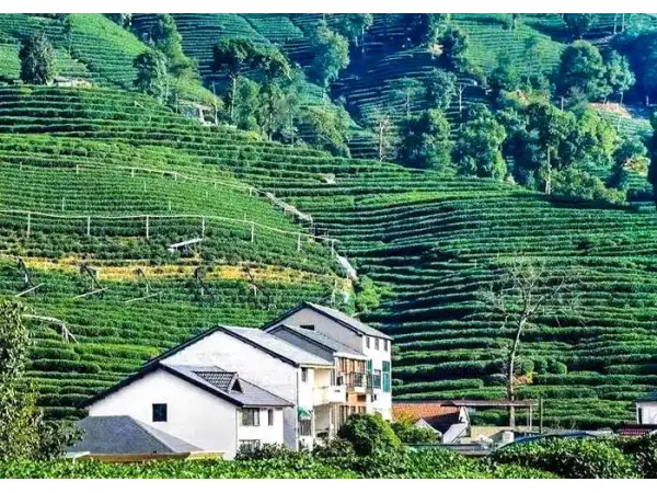  Anhui · Huangshan · Wuyuan  Bespoke Journey  7D6N				