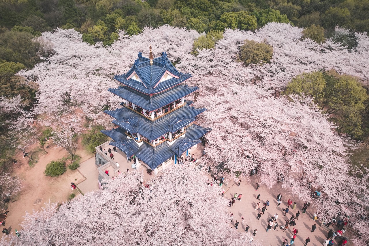  8D7N Glamorous Jiangnan					