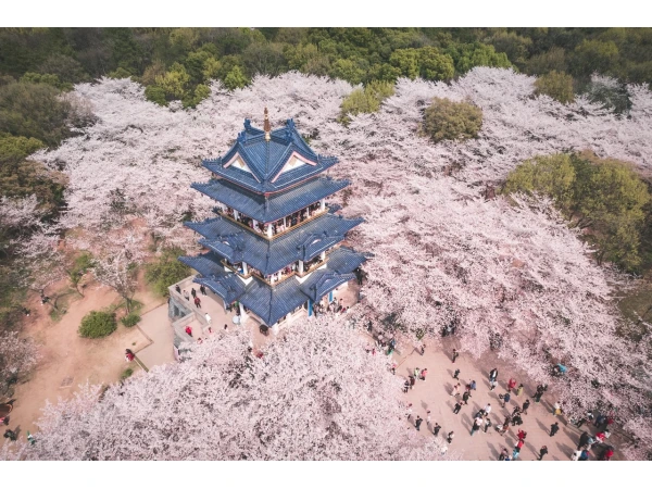  8D7N Glamorous Jiangnan	