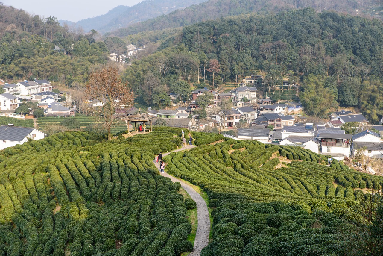 Shanghai + Hangzhou + Wuzhen 6D5N Private Tour Quotation								