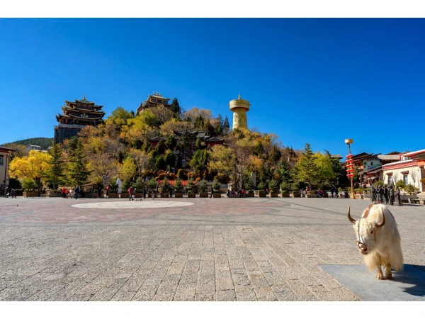 9D7N Best of Yunnan & Shangri-La Muslim Tour			