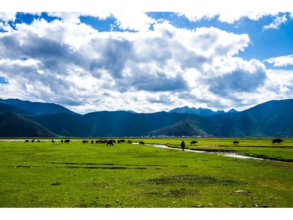 9D7N Best of Yunnan & Shangri-La Muslim Tour			