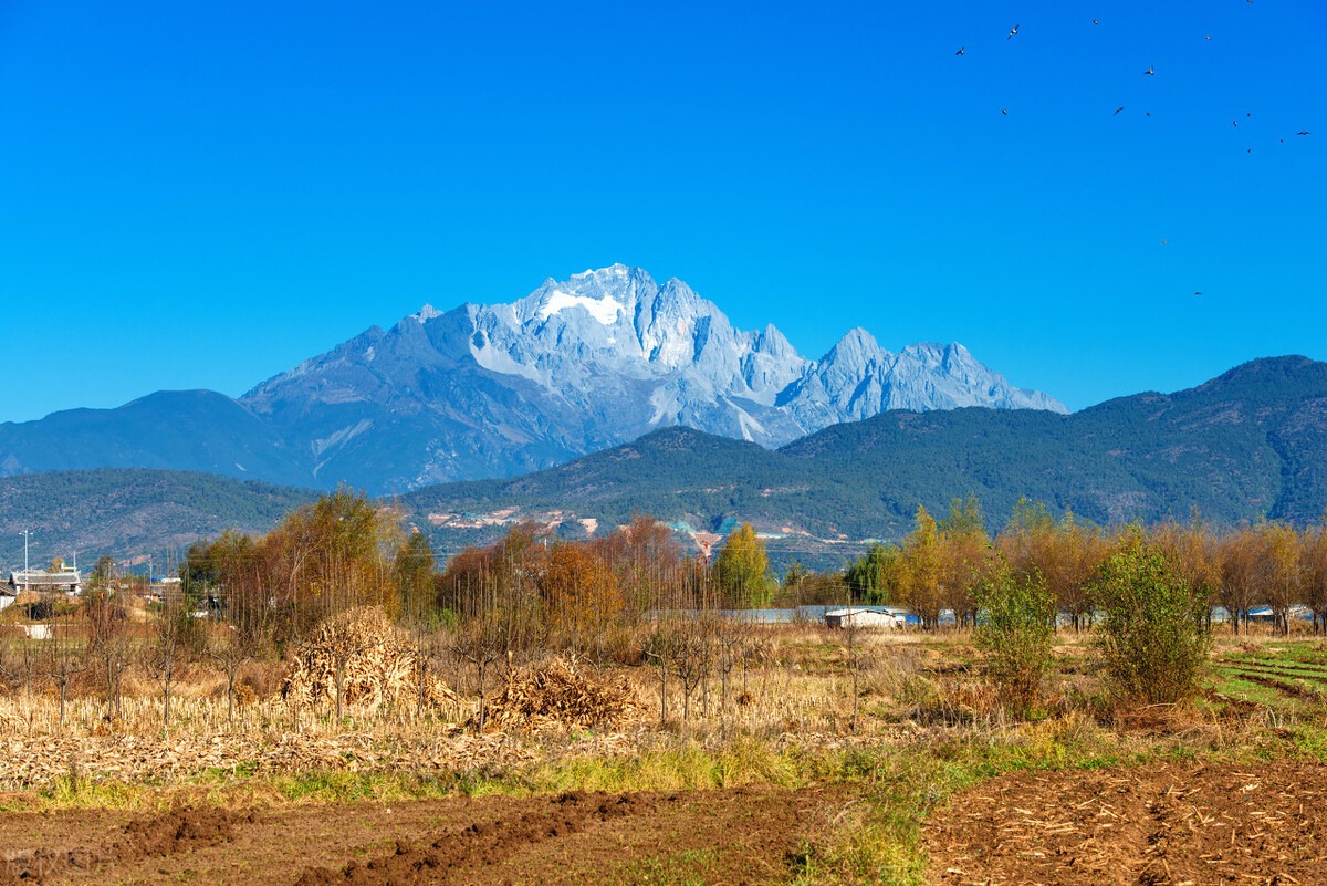 9D7N Best of Yunnan & Shangri-La Muslim Tour			