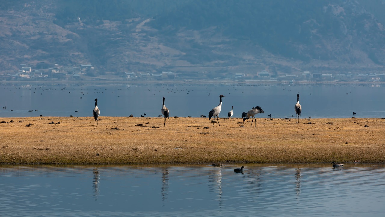 9D7N Best of Yunnan & Shangri-La Muslim Tour			