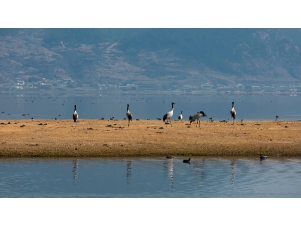 9D7N Best of Yunnan & Shangri-La Muslim Tour			