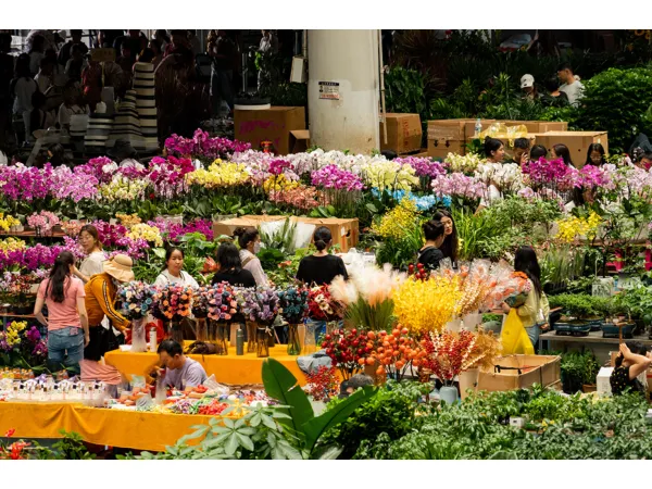 9D7N Best of Yunnan & Shangri-La Muslim Tour			