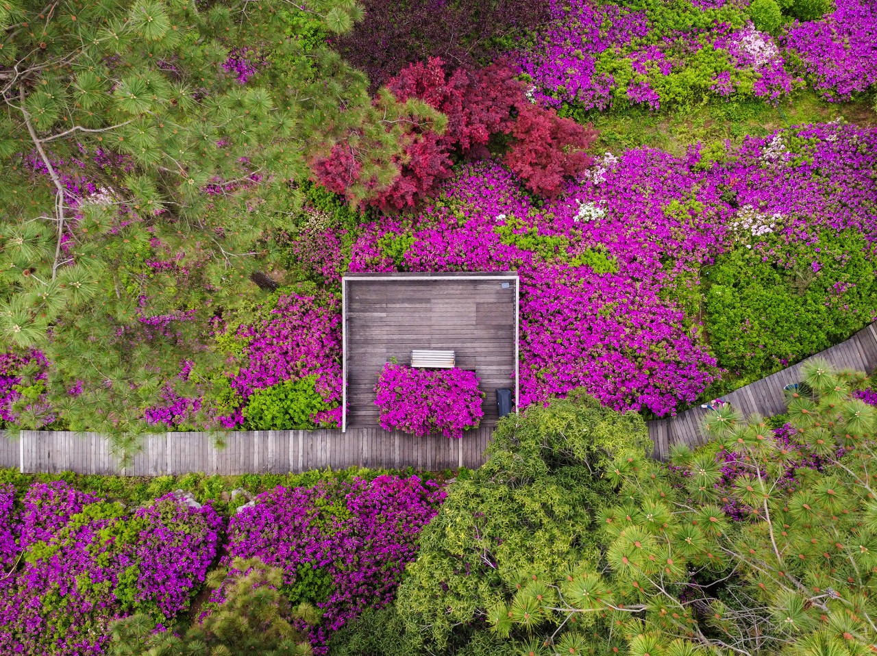 ENSHI & WUHAN  7D6N IMMERSIVE JOURNEY					 					 					