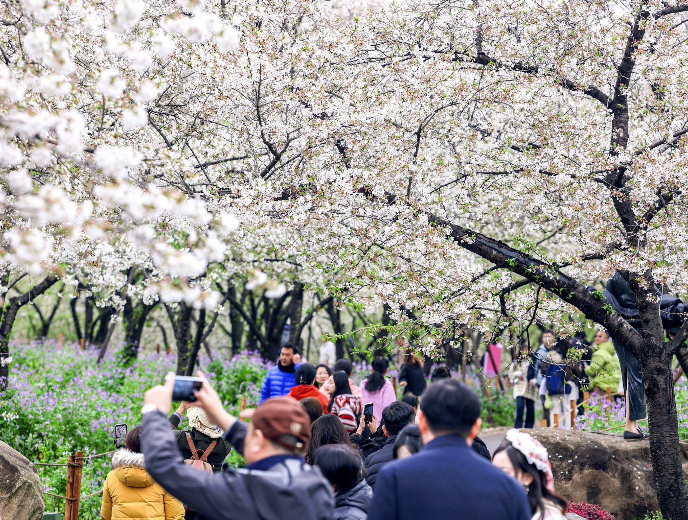 ENSHI & WUHAN  7D6N IMMERSIVE JOURNEY