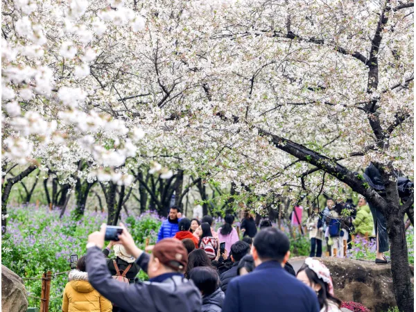 ENSHI & WUHAN  7D6N IMMERSIVE JOURNEY