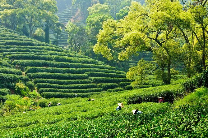  Anhui · Huangshan · Wuyuan  Bespoke Journey  7D6N			