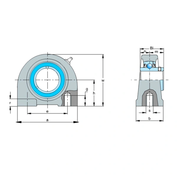 UCT309 Oil bearings NTN