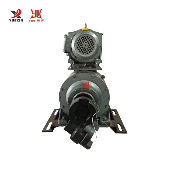 chain grate boiler speed reducer —YueXin